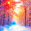 Winter Wallpaper APK