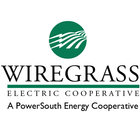 Wiregrass Electric icon