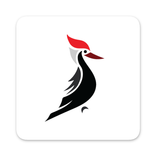 ”Woodpecker