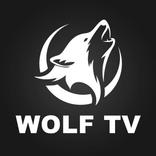 WOLF IPTV