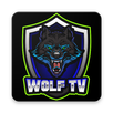 WolfTv Player APK