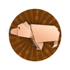 Origami Animal Schemes APK