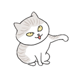 Pukulan Kucing