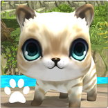 PAWS