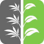 X19