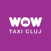 WoW Sofer Cluj APK