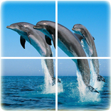 Ocean Puzzle