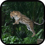 Wild Leopard Simulator 3D