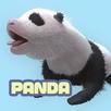 Newborn panda APK