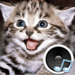 Animal sounds. Learn and play. icon