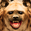 Ultimate Hyena Simulator APK