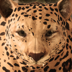 Ultimate Leopard Simulator biểu tượng