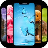 ”Live Wall