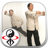 Tai Chi Qigong (YMAA)