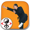 Shaolin Kung Fu APK
