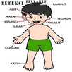 Deteksi Penyakit Tubuh APK