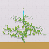 Climbing Vine
