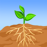 Root And Sprout