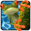 آیکون‌ Jumping Frog