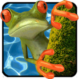 Jumping Frog