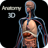 Atlas Human Anatomy