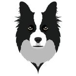 Sheepdog World