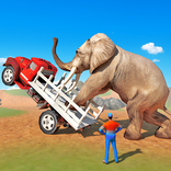 Animal Transport Truck Driving