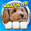 Guess it! Zoom Pic Trivia Game APK