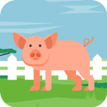 Zoo Hero