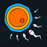Sperm Simulator