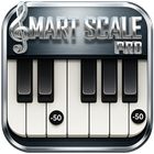Smart Scale Controller Pro icon