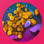 Coronavirus COVID 19: live tracker & symptoms