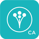 WeddingWire Planning App