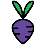 turnip