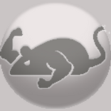  CatMouse