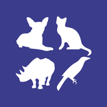 Versi degli animali