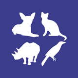 Animals Soundboard APK