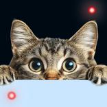 Cat Fishing: Games For Cats