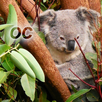 Nature - Oceania APK