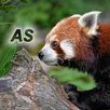 Nature - Asia APK