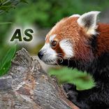 Nature - Asia