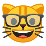 Cat Vision
