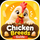 Chicken Breeds Guide