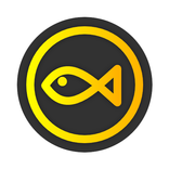 Fish Fillets