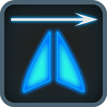 Vector Fighter