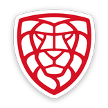 Český florbal