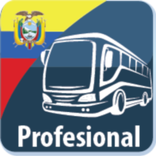 Simulador licencia profesional (D) ANT 2018 - 2019