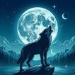 Dark Moon Wallpapers 圖標