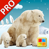 Animals Cards Games PRO APK