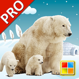Animals Flashcards PRO